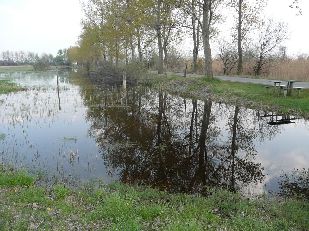 Bed and Breakfast Haus Renee Podersdorf am See Zewnętrze zdjęcie